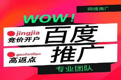 知名百度推广代运营公司案例分享